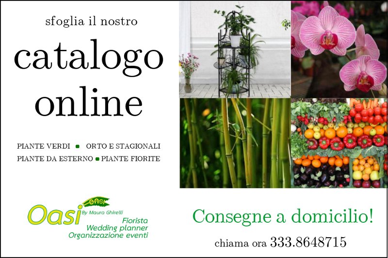 Fiorista vendita online fiori e piante e consegna a domicilio